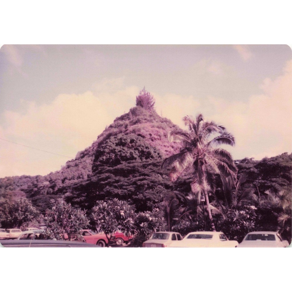 Vintage 1970s Hawaii Oahu Volcanic Hill Garden Peafowl Photo Lot of 6 - Picture 1 of 6